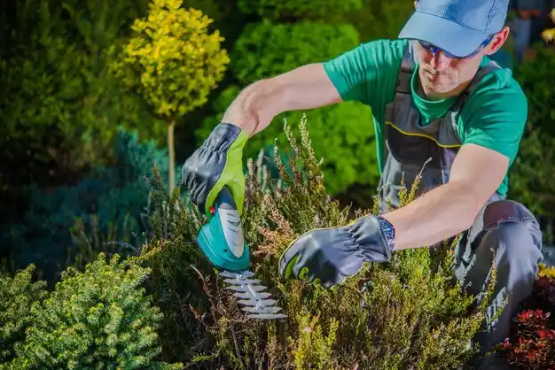 landscaping services East Lansing